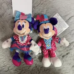 ミニーのファンダーランド ぬいぐるみバッジ ミッキー ミニー セット ディズニー