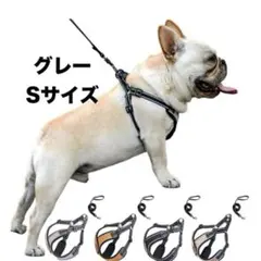 Item thumbnail for item e9c4af22-adf8-49f8-8b7e-c3502ff66f16