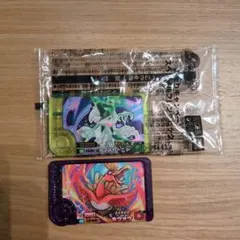 ポケモンフレンダ　あたりキャンペーンスペシャルフレンダピック　 ホウオウ