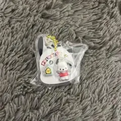 サンリオキャラクターズ パッケージチャーム&チョコボーロ ポチャッコ