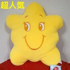 超人気破格！ケアベア　スターバディクッション