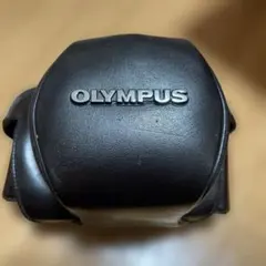 Item thumbnail for item 22b18aa2-06e3-40d8-b096-d8be41a9d124