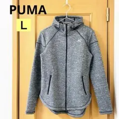 ✨️セール中✨️PUMA ノクターナルウィンタージャケット 長袖 グレー Ｌ