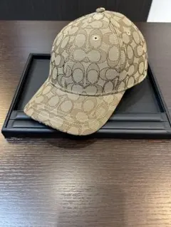 Item thumbnail for item c28ceb72-c712-4f34-8070-fb3ed2f10200