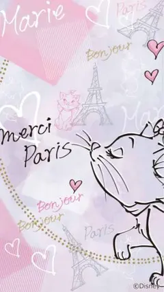 ゆきちゃん様専用