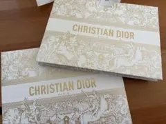 CHRISTIAN DIOR ディオール ギフト袋 ショップ袋