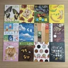 しぜん キンダーブック 2022年度1年分12冊セット フレーベル館 - メルカリ