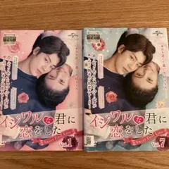 中国ドラマ　イジワルな君に恋をした 全12巻 DVD レンタル落ち