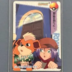 ポケモン カードダス アニメコレクション No.6 イーブイ＆タイチ