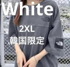 希少 2XL 韓国限定 ノースフェイス ロゴ ステッチ Tシャツ グレーXXL 希少 2XL 韓国限定 ノースフェイス ロゴ ステッチ Tシャツ グレーXXL