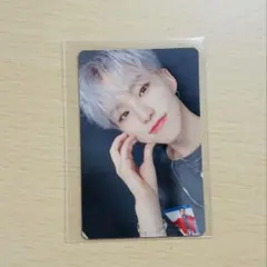 SEVENTEEN セブチ 舞い落ちる花びら A盤 トレカ ホシ