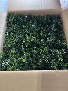10枚 人工グリーンパネル 25cm角 造花 壁面緑化 DIY - メルカリ