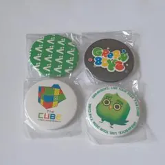 GRe4N BOYZ （GReeeeN）バッジ - メルカリ