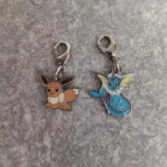 ブイズ ポケモン pokemon チャーム イーブイ シャワーズ