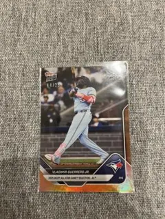 Vladimir Guerrero Jr. allstar now 14/25