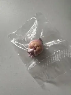 こびとづかん カクレモモジリ キーホルダー