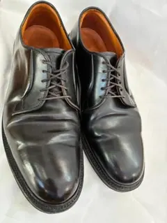 2026年最新】alden 9901の人気アイテム - メルカリ