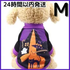 Item thumbnail for item 24188907-f3d2-4304-ad1c-d6266dbd53d0