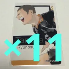 ファンパーク　箔押しクリアカードコレクション　ハイキュー!!　田中龍之介