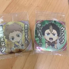 にふぉるめーしょんハイキュー ゴミ捨て場の決戦 シールウエハース リベロ2人