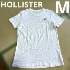 Item thumbnail for item e831dfd1-40a6-45e5-bbd5-2e498c754f3e