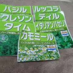 ハーブの種　7種類　家庭菜園　クレソン
