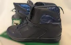 Item thumbnail for item 34de08de-b3de-4554-8a74-d54011dee4d4