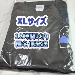 Item thumbnail for item 7a77cf2f-3c2f-4682-ba13-cd5544de72e5