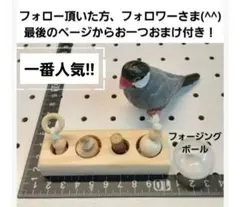 2026年最新】鳥用品 フォージングの人気アイテム - メルカリ