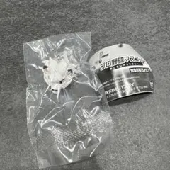 プロ野球マスコット　めじるしアクセサリー　レオ