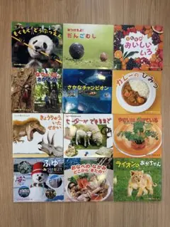 なんでもサイエンス 12冊