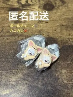 スキズ ガチャ ジニレット つまんでつなげて ボールチェーン&カニカン2個セット