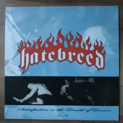 【希少・赤盤LP】Hatebreed - 1st アナログレコードUSオリジナル Hatebreed Satisfaction is the Death〜 LP - メルカリ
