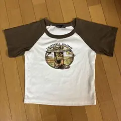 DAZY ラグラン 半袖Tシャツ ブラウン ホワイト