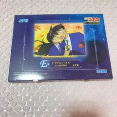 工藤新一＆毛利蘭 アクリルパネル(紅の修学旅行) セガ ラッキーくじ名探偵コナン