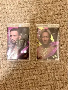 Item thumbnail for item 7a744a68-2a3e-4afe-9dc9-a1f0c88cff1e