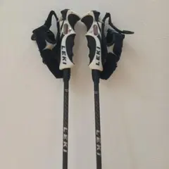 スキーストックカーボン