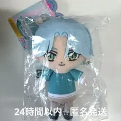 キュアフレンズ　響カイト　ぬいぐるみ