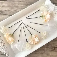 Item thumbnail for item 35fce3a6-2bd8-4133-8aac-4489fa3d0518