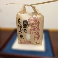 ⭐︎新鮮野菜おまけ付⭐︎令和7年度産 千葉県産こしひかり 白米5kg