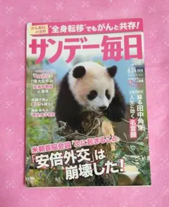 サンデー毎日 シャンシャン特集 上野動物園 上野パンダ