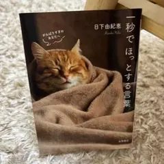 Item thumbnail for item d266272e-f98f-4d46-89e0-2d75a5181277