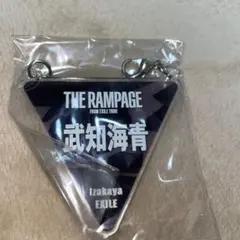 武知海青