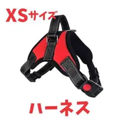 Item thumbnail for item e17e95ef-ab57-45f4-b547-3b857f6a57d4