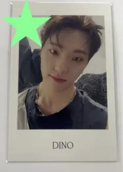 Face the Sun Weverse Japan特典 ポラロイド ディノ