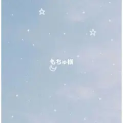 もちゅ様 リクエスト 2点 まとめ商品