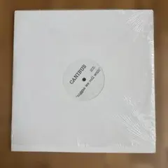 RAS KASS UNDERSTANDABLE SMOOTH 12インチレコード - メルカリ