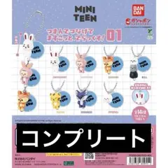 MINITEEN つまんでつなげてますこっと でらっくす コンプリート セブチ