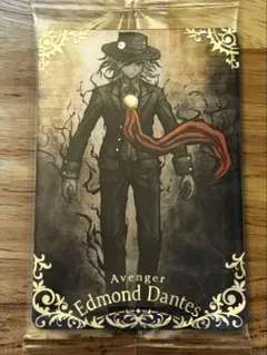 Fate FGO ウエハース カード R20 巌窟王 エドモン・ダンテス Fate FGO ウエハース カード R20 巌窟王 エドモン・ダンテス