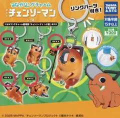 つながリングチャーム ポチタ 4個 めじるしアクセサリー